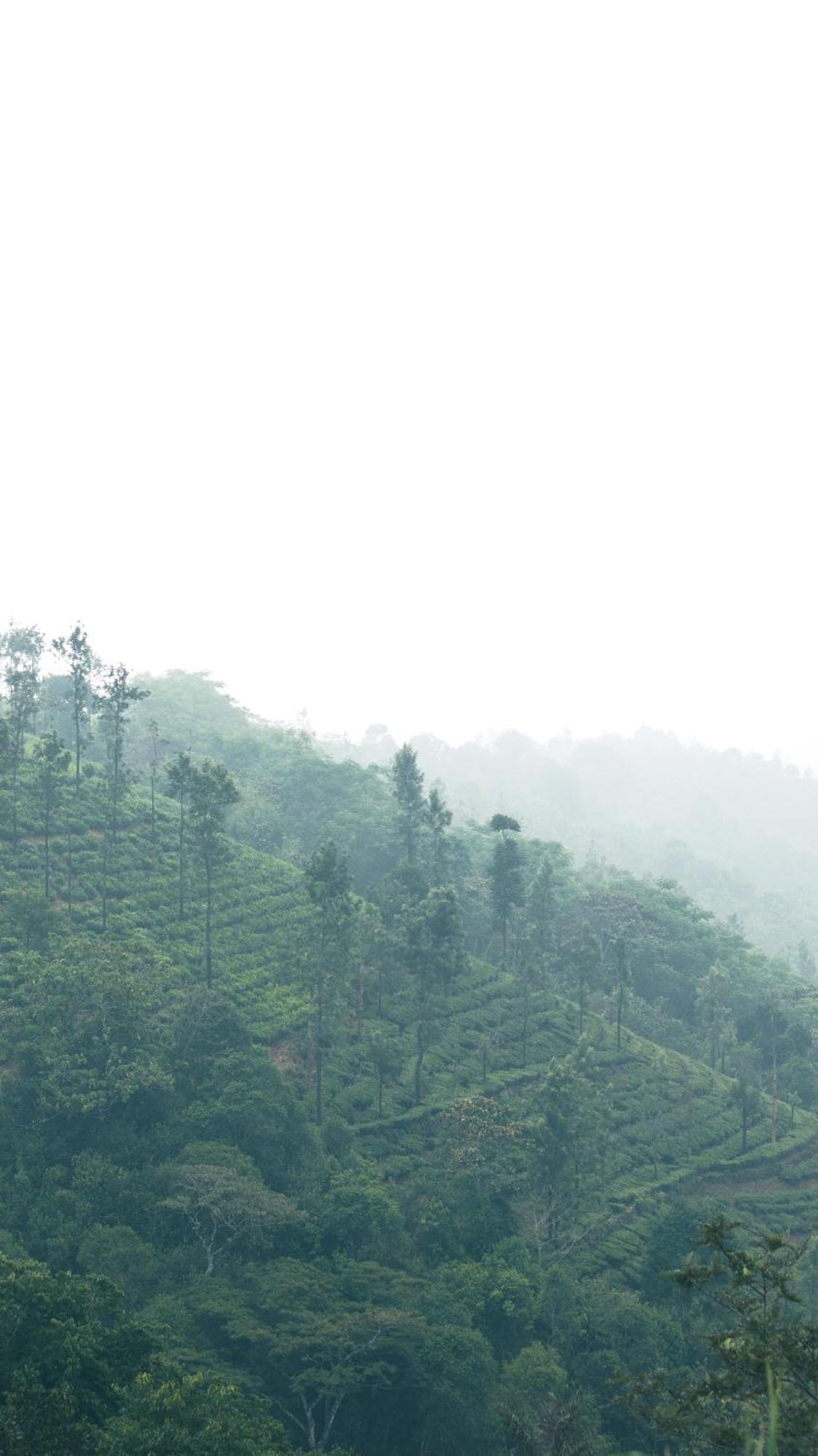 Casa Oliv, Vagamon 빌라 외부 사진